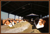 Dateiname=006-ba-k-IMG_6696.jpg
Dateigröße=714KB
Abmessungen: 1200x817
hinzugefügt am: 12. November 2021 006-ba-k-IMG_6696.jpg