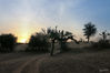 02_Mandawa_Kamelwagenausflug_Sonnenuntergang_04.jpg