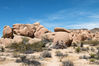 Dateiname=03_Joshua_Tree_Joachim_03.jpg
Dateigröße=542KB
Abmessungen: 850x567
hinzugefügt am: 29. September 2015 03_Joshua_Tree_Joachim_03.jpg