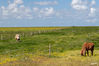 Dateiname=03_Zwischenzone_Ausblick_10.jpg
Dateigröße=766KB
Abmessungen: 1024x683
hinzugefügt am: 22. Juli 2019 03_Zwischenzone_Ausblick_10.jpg