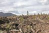 Dateiname=06_1_Volcano_Lavaflussfeld_NP_03_Kopie.jpg
Dateigröße=619KB
Abmessungen: 850x567
hinzugefügt am: 15. September 2015 06_1_Volcano_Lavaflussfeld_NP_03_Kopie.jpg