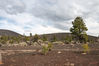 Dateiname=06_1_Volcano_Lavaflussfeld_NP_04.jpg
Dateigröße=519KB
Abmessungen: 850x567
hinzugefügt am: 15. September 2015 06_1_Volcano_Lavaflussfeld_NP_04.jpg