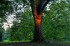 Dateiname=07__Lichterfest_Marianne_Schlosss_Dyck_Angeleuchteter_Baum_01.jpg
Dateigröße=1566KB
Abmessungen: 1200x800
hinzugefügt am: 15. September 2023 07__Lichterfest_Marianne_Schlosss_Dyck_Angeleuchteter_Baum_01.jpg
