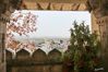 Dateiname=08_Udaipur_Stadtpalast_Aussicht_06.jpg
Dateigröße=663KB
Abmessungen: 850x567
hinzugefügt am: 09. Juni 2016 08_Udaipur_Stadtpalast_Aussicht_06.jpg