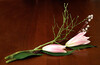 Dateiname=09-ba-r-k-518A0290.jpg
Dateigröße=448KB
Abmessungen: 1000x650
hinzugefügt am: 28. Februar 2022 09-ba-r-k-518A0290.jpg