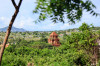 Dateiname=09_10__2026_Kate-Fest_der_Cham_Blick_auf_den_Tempel_04.jpg
Dateigröße=1206KB
Abmessungen: 1200x800
hinzugefügt am: 21. Oktober 2026 09_10__2026_Kate-Fest_der_Cham_Blick_auf_den_Tempel_04.jpg