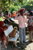 09_10__2026_Kate-Fest_der_Cham_Pudel_02.jpg