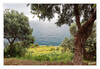 Dateiname=10_Castello_Aragonese_Ausblick_Oliventerasse_04.jpg
Dateigröße=1308KB
Abmessungen: 1200x829
hinzugefügt am: 20. Juli 2023 10_Castello_Aragonese_Ausblick_Oliventerasse_04.jpg