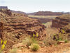 Dateiname=11_3_Canyonlands_Jeep_Aussicht_035.jpg
Dateigröße=722KB
Abmessungen: 850x638
hinzugefügt am: 16. Juli 2015 11_3_Canyonlands_Jeep_Aussicht_035.jpg