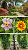 Dateiname=135_manni_5.jpg
Dateigröße=1370KB
Abmessungen: 1080x1920
hinzugefügt am: 17. Juli 2024 135_manni_5.jpg