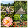 Dateiname=137_manni_4~0.jpg
Dateigröße=2237KB
Abmessungen: 2048x2048
hinzugefügt am: 18. Juli 2024 137_manni_4~0.jpg