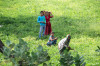 14_09_Bikaner_unterwegs_Erdnussfeld_02.jpg