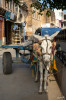 14_09_Mandawa__In_den_Gassen_01.jpg