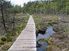 14_Preikestolen_Weg__01.jpg