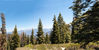 14_Sequoia_Unterwegs_Pano_01.jpg