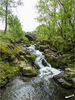 Dateiname=15_Naturbruecke_01.jpg
Dateigröße=839KB
Abmessungen: 638x850
hinzugefügt am: 09. Februar 2016 15_Naturbruecke_01.jpg