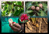 Dateiname=19_09_Gewuerzgarten.jpg
Dateigröße=1056KB
Abmessungen: 1200x848
hinzugefügt am: 30. Oktober 2024 19_09_Gewuerzgarten.jpg