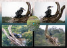 Dateiname=19_09__Periyar-Nationalpark_Bootstour_Kormoran_C.jpg
Dateigröße=876KB
Abmessungen: 1200x848
hinzugefügt am: 27. Oktober 2024 19_09__Periyar-Nationalpark_Bootstour_Kormoran_C.jpg