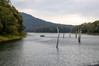 Dateiname=19_09__Periyar-Nationalpark_Bootstour_Landschaft_01.jpg
Dateigröße=873KB
Abmessungen: 1200x800
hinzugefügt am: 28. Oktober 2024 19_09__Periyar-Nationalpark_Bootstour_Landschaft_01.jpg