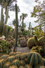 Dateiname=1_Kakteengarten_Giardini_Ravino_16.jpg
Dateigröße=1280KB
Abmessungen: 800x1200
hinzugefügt am: 20. Juni 2022 1_Kakteengarten_Giardini_Ravino_16.jpg