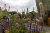 Dateiname=1_Kakteengarten_Giardini_Ravino_30.jpg
Dateigröße=1026KB
Abmessungen: 1200x800
hinzugefügt am: 21. Juni 2022 1_Kakteengarten_Giardini_Ravino_30.jpg