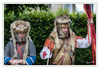 Dateiname=2014_Grosser_Festumzug_Pompa_Anfuehrer_012.jpg
Dateigröße=570KB
Abmessungen: 850x589
hinzugefügt am: 18. Juni 2014 2014_Grosser_Festumzug_Pompa_Anfuehrer_012.jpg
