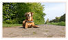 Dateiname=2019_05_Baumschule_054.jpg
Dateigröße=693KB
Abmessungen: 1024x609
hinzugefügt am: 08. Mai 2019 2019_05_Baumschule_054.jpg