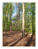 Dateiname=2020_04_Benrather_Forst_04.jpg
Dateigröße=860KB
Abmessungen: 795x1024
hinzugefügt am: 14. April 2020 2020_04_Benrather_Forst_04.jpg