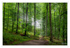 Dateiname=2020_07_W_Brueckenkopfpark_05_mit_Strahlen.jpg
Dateigröße=1469KB
Abmessungen: 1200x830
hinzugefügt am: 05. Juli 2020 2020_07_W_Brueckenkopfpark_05_mit_Strahlen.jpg