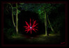 Dateiname=2020_08_In_der_Baumschule_09.jpg
Dateigröße=786KB
Abmessungen: 1200x835
hinzugefügt am: 15. August 2020 2020_08_In_der_Baumschule_09.jpg