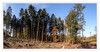 Dateiname=2020_11_BU_Landschaft_01.jpg
Dateigröße=1618KB
Abmessungen: 1600x833
hinzugefügt am: 09. November 2020 2020_11_BU_Landschaft_01.jpg