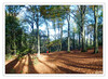 Dateiname=2020_11_BU_Lichteinfall_01.jpg
Dateigröße=1622KB
Abmessungen: 1200x880
hinzugefügt am: 10. November 2020 2020_11_BU_Lichteinfall_01.jpg