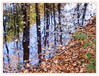Dateiname=2020_11_Spiegelung_02.jpg
Dateigröße=1689KB
Abmessungen: 1200x918
hinzugefügt am: 11. November 2020 2020_11_Spiegelung_02.jpg