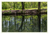 Dateiname=2021_05_Das_Ufer_gegenueber_01.jpg
Dateigröße=1361KB
Abmessungen: 1200x830
hinzugefügt am: 18. Mai 2021 2021_05_Das_Ufer_gegenueber_01.jpg