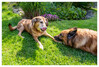 Dateiname=2021_06_Zwei_02.jpg
Dateigröße=1484KB
Abmessungen: 1200x815
hinzugefügt am: 28. Juni 2021 2021_06_Zwei_02.jpg