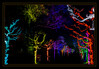 Dateiname=2022_02_Essen_Parkleuchten_Bunte_Baumallee__02.jpg
Dateigröße=999KB
Abmessungen: 1200x837
hinzugefügt am: 16. Februar 2022 2022_02_Essen_Parkleuchten_Bunte_Baumallee__02.jpg