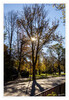 Dateiname=2022_11_Gegenlicht.jpg
Dateigröße=1398KB
Abmessungen: 829x1200
hinzugefügt am: 16. November 2022 2022_11_Gegenlicht.jpg