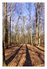 Dateiname=2023_02_Im_Wald_01.jpg
Dateigröße=1578KB
Abmessungen: 829x1200
hinzugefügt am: 28. Februar 2023 2023_02_Im_Wald_01.jpg