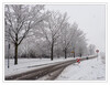 Dateiname=2023_03_Landschaft_im_Schnee_07.jpg
Dateigröße=1071KB
Abmessungen: 1200x926
hinzugefügt am: 08. März 2023 2023_03_Landschaft_im_Schnee_07.jpg