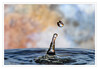 Dateiname=2023_12_Tropfenfotografie_Tropfen_mit_Stern__05.jpg
Dateigröße=558KB
Abmessungen: 1200x833
hinzugefügt am: 05. Dezember 2023 2023_12_Tropfenfotografie_Tropfen_mit_Stern__05.jpg