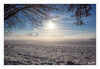 Dateiname=2024_01_Winterintermezzo_01.jpg
Dateigröße=1127KB
Abmessungen: 1200x831
hinzugefügt am: 18. Januar 2024 2024_01_Winterintermezzo_01.jpg