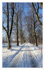 Dateiname=2024_01_Winterintermezzo_Allee_01.jpg
Dateigröße=1334KB
Abmessungen: 780x1200
hinzugefügt am: 18. Januar 2024 2024_01_Winterintermezzo_Allee_01.jpg
