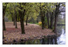 Dateiname=2024_11_Novemberlandschaft_01.jpg
Dateigröße=1312KB
Abmessungen: 1200x829
hinzugefügt am: 14. November 2024 2024_11_Novemberlandschaft_01.jpg