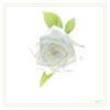 Dateiname=2024_11_Wei0e_Rose_HC.jpg
Dateigröße=354KB
Abmessungen: 1200x1200
hinzugefügt am: 15. November 2024 2024_11_Wei0e_Rose_HC.jpg