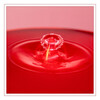 Dateiname=2024_12_Tropfenfotografie_kk_06.jpg
Dateigröße=725KB
Abmessungen: 1200x1200
hinzugefügt am: 05. Januar 2025 2024_12_Tropfenfotografie_kk_06.jpg