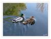 Dateiname=2025_01_Volksgarten_04.jpg
Dateigröße=656KB
Abmessungen: 1200x935
hinzugefügt am: 21. Januar 2025 2025_01_Volksgarten_04.jpg
