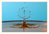Dateiname=2025_01_Wassertropfen_gelb_blau_04~2.jpg
Dateigröße=525KB
Abmessungen: 1200x832
hinzugefügt am: 09. Januar 2025 2025_01_Wassertropfen_gelb_blau_04~2.jpg