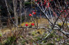 Dateiname=2025_03_Volksgarten_Suedpark_Fruehblueher_01.jpg
Dateigröße=792KB
Abmessungen: 1200x800
hinzugefügt am: 14. März 2025 2025_03_Volksgarten_Suedpark_Fruehblueher_01.jpg