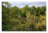 Dateiname=2025_09_Brueggen_Zauberwald_01.jpg
Dateigröße=1371KB
Abmessungen: 1200x829
hinzugefügt am: 22. September 2025 2025_09_Brueggen_Zauberwald_01.jpg
