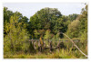 Dateiname=2025_09_Brueggen_Zauberwald_02.jpg
Dateigröße=1364KB
Abmessungen: 1200x829
hinzugefügt am: 23. September 2025 2025_09_Brueggen_Zauberwald_02.jpg